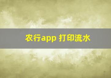 农行app 打印流水